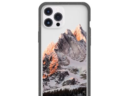 Clear Alps iPhone 12 Pro Max Case With Black Ridge For Sale