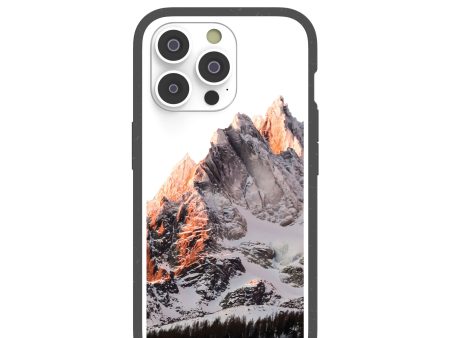 Clear Alps iPhone 14 Pro Case With Black Ridge Supply