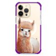 A Alpaca iPhone 15 Pro Max MagSafe Compatible Ultra Shockproof Case Cheap